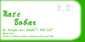 mate bobar business card